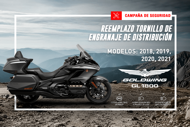 Reemplazo tornillo de engranaje de distribución